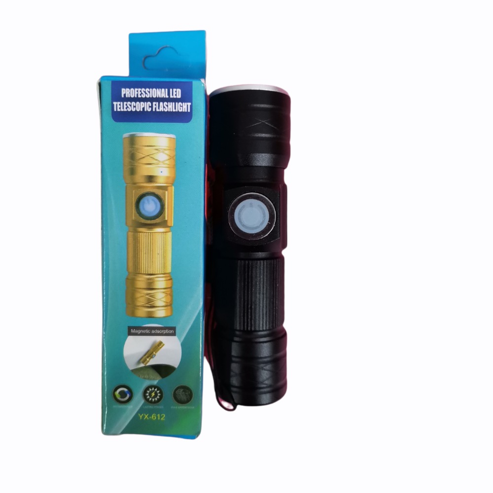 Foco de mano YX-612