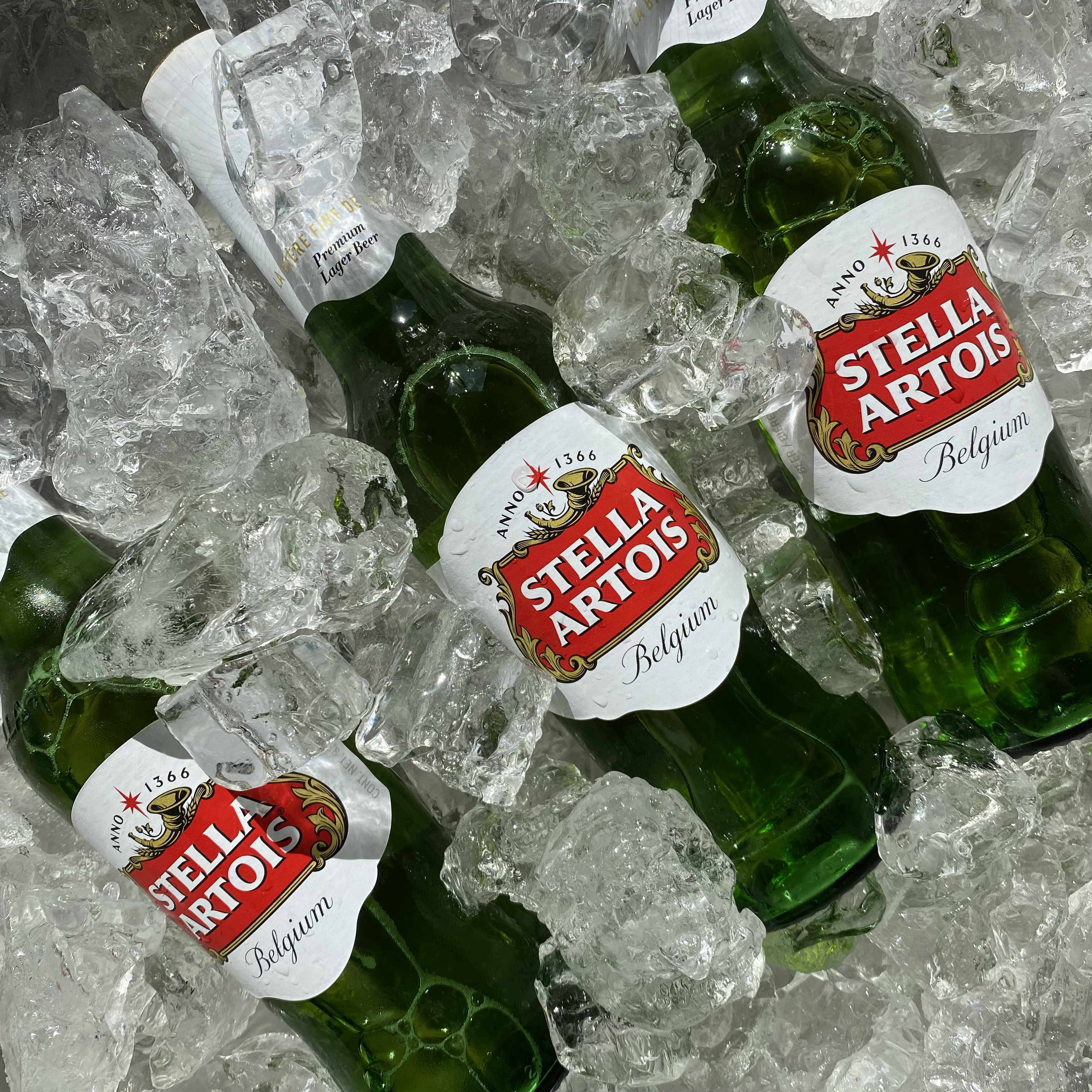 STELLA ARTOIS