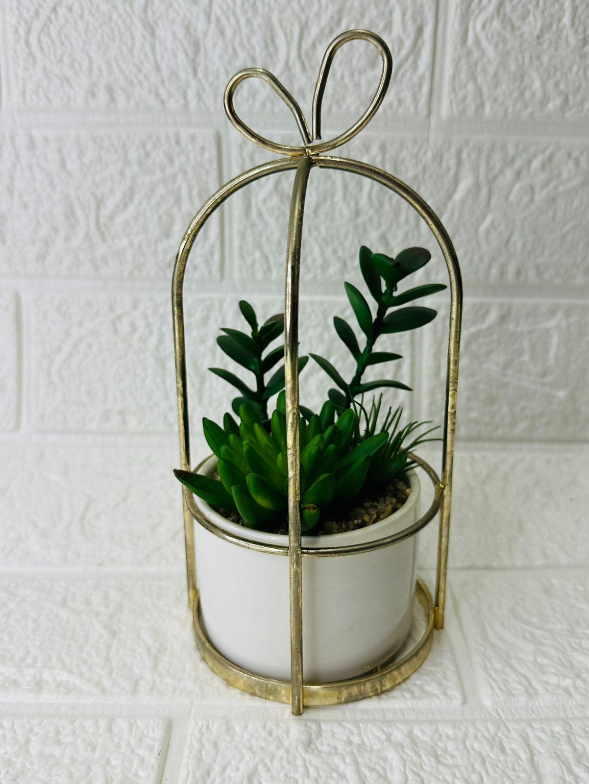 PLANTA DECORATIVA