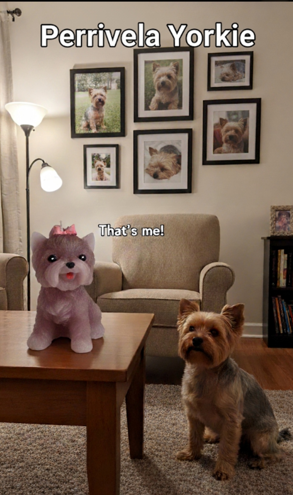 PERRIVELA YORKIE