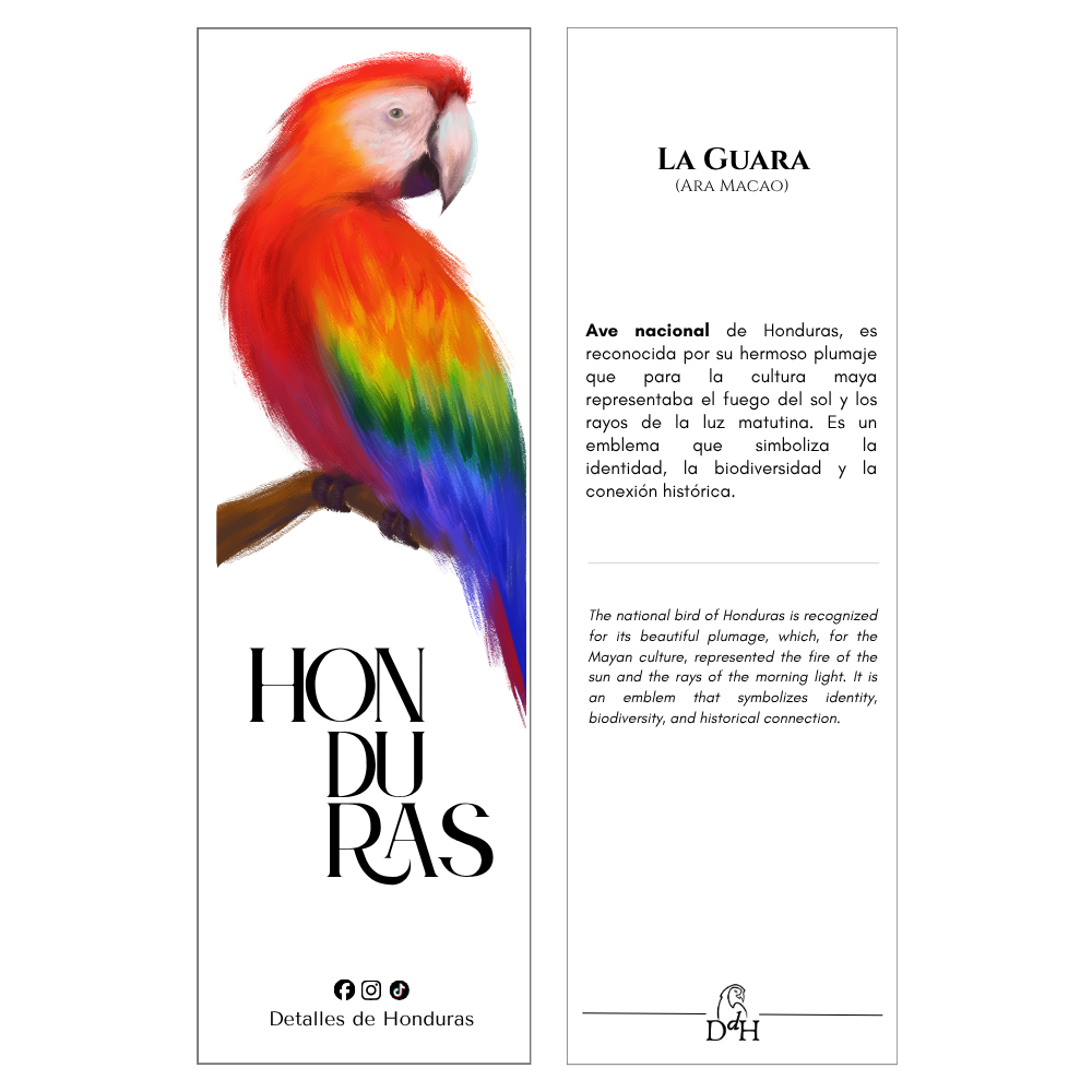 SEPARADORES DE LIBROS