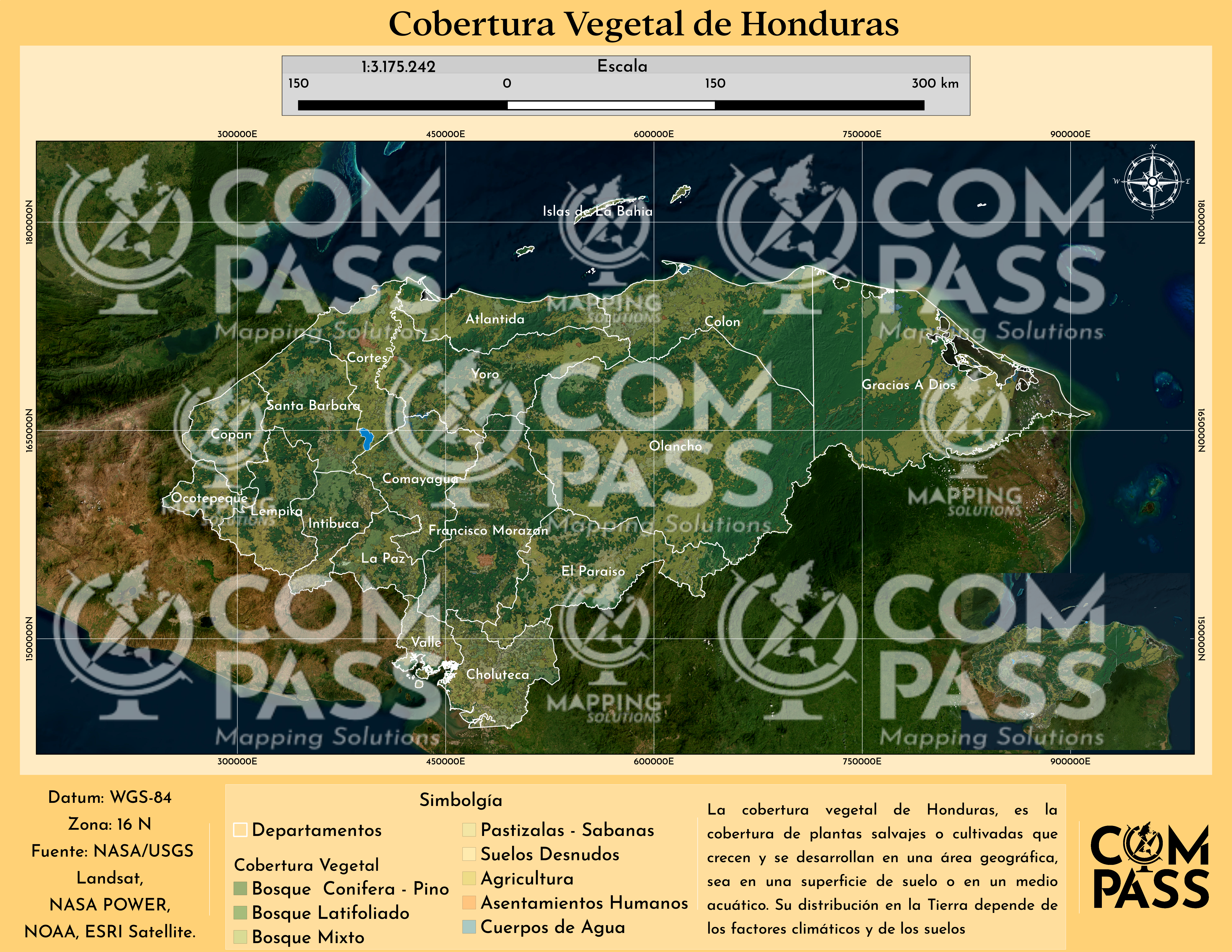 MAPA DE COBERTURA VEGETAL